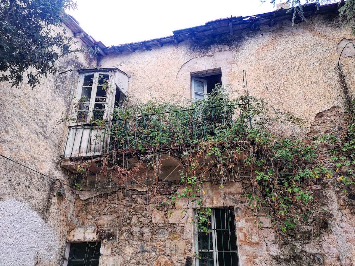 Foresta di Burgos