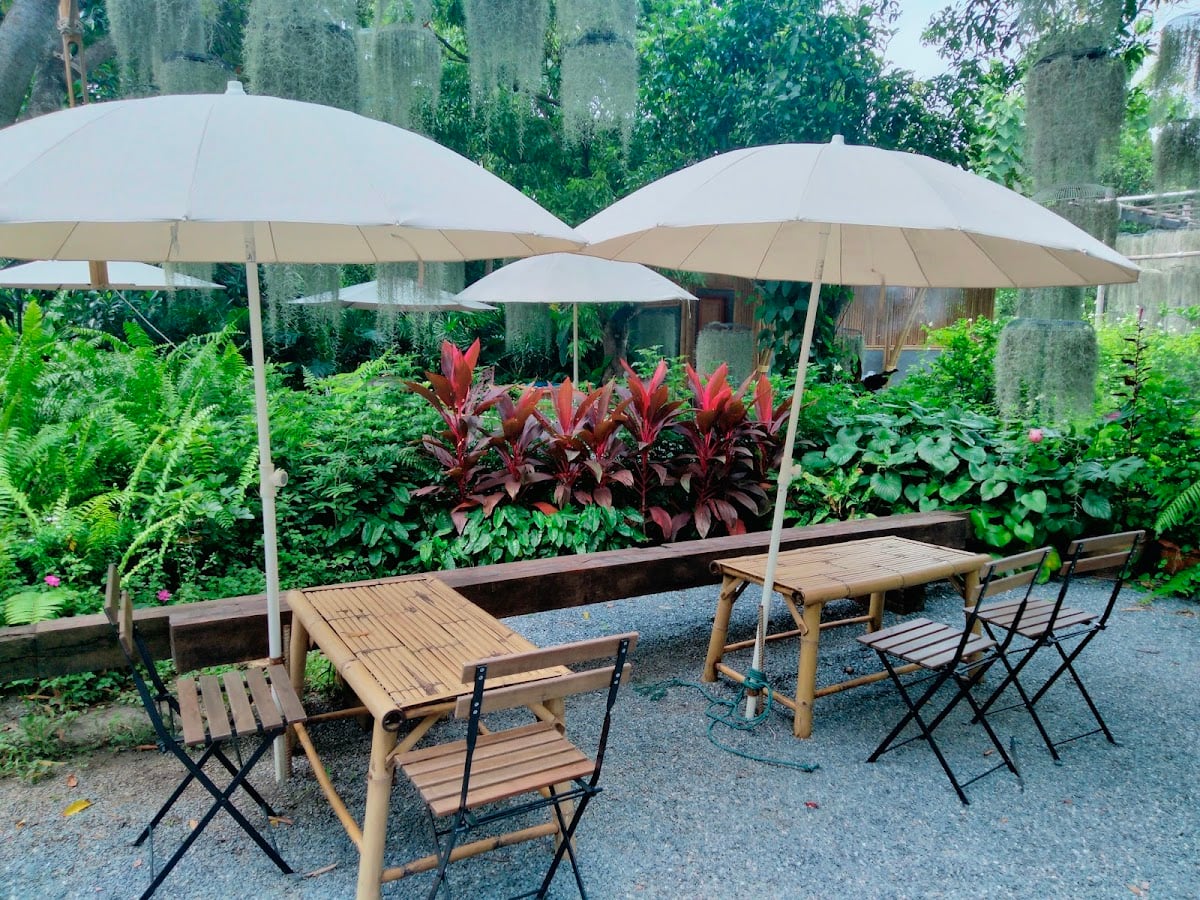 Natura Café