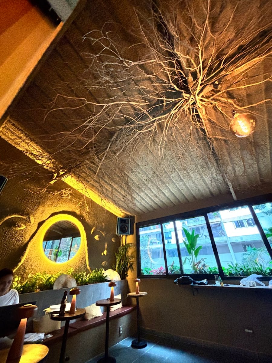 Salva Bar