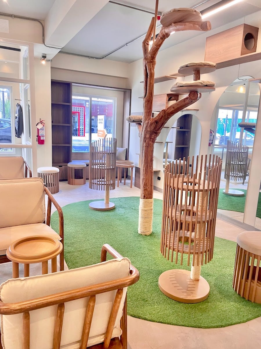 Gatú Cat Café