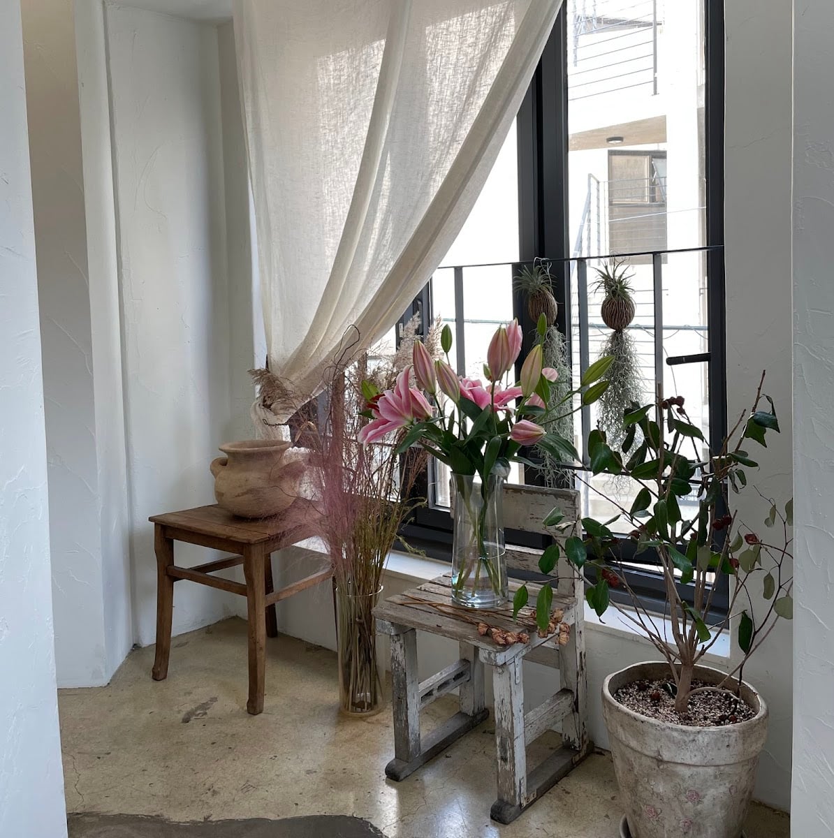 디어모먼트 Dear Moment - Cafe,cherryblossom
