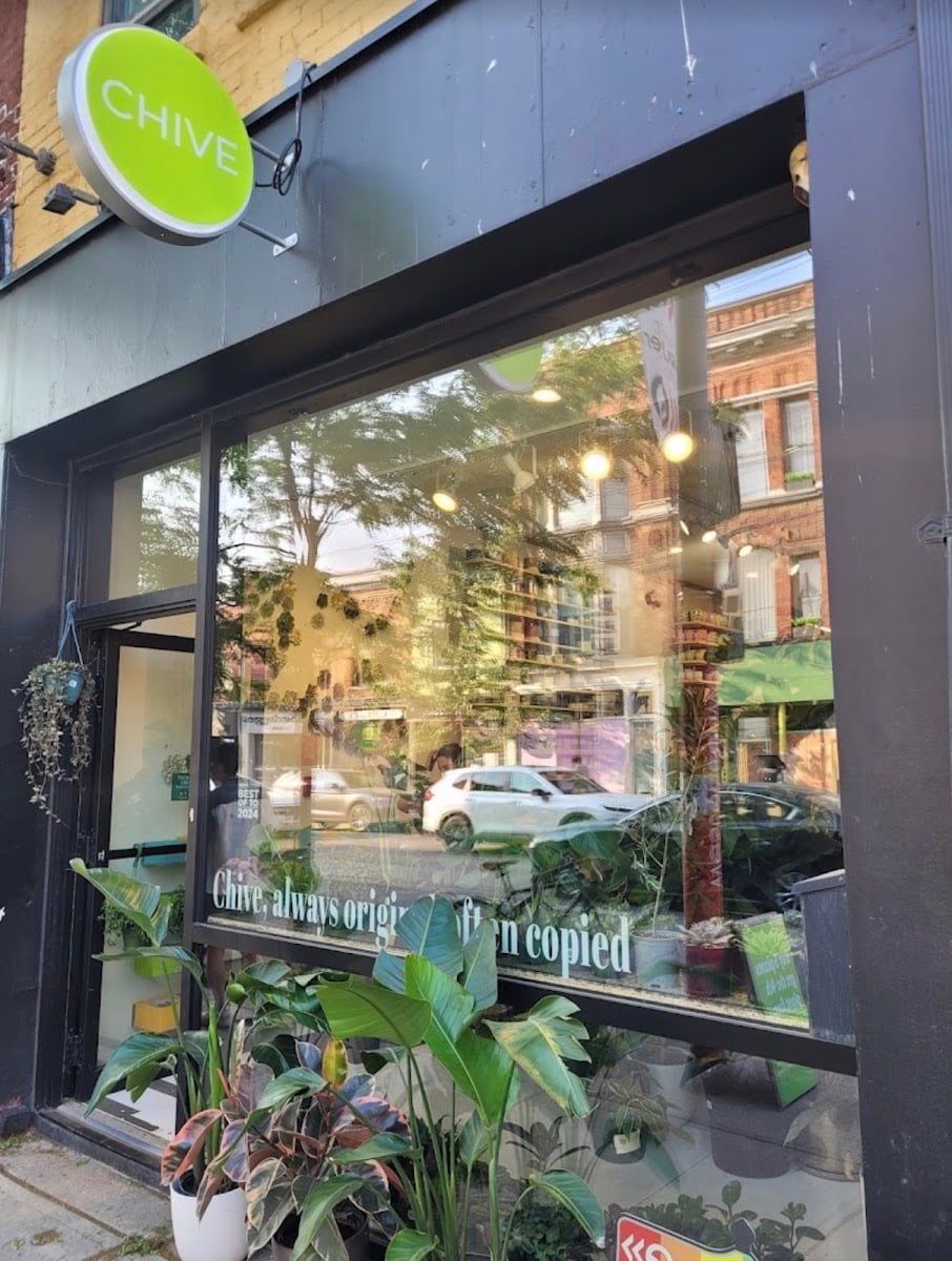 Chive Inc - houseplants