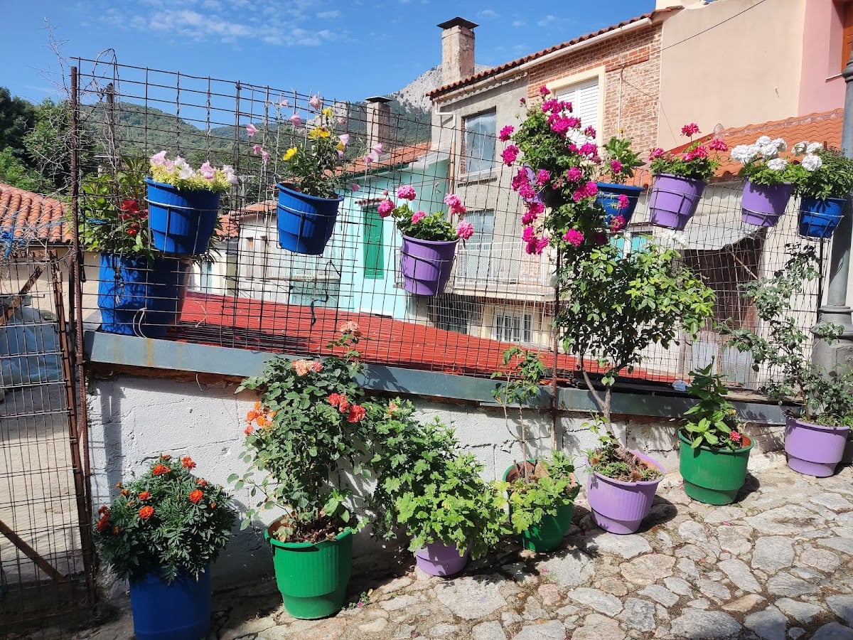 Lesbos Island