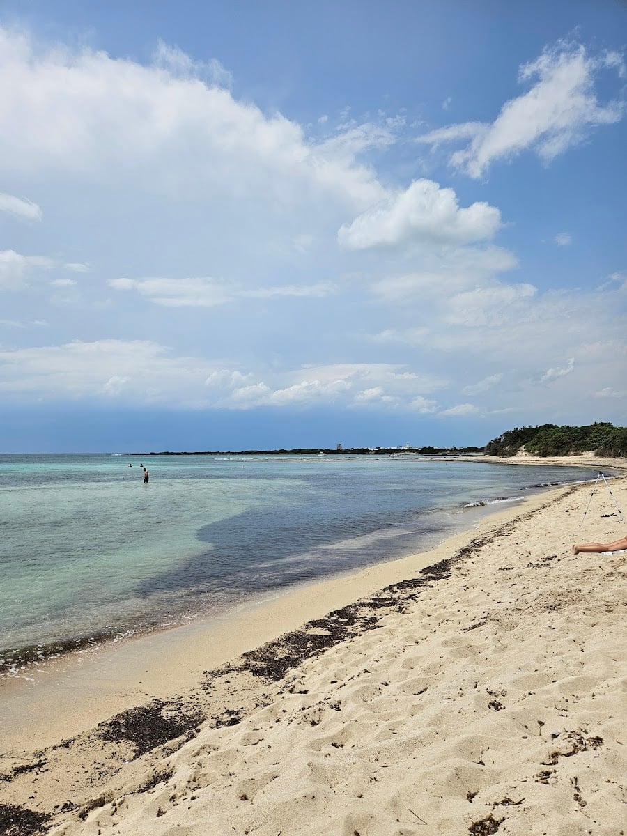 Riserva Naturale Orientata Regionale Palude del Conte e Duna Costiera - Bosco dell'Arneo