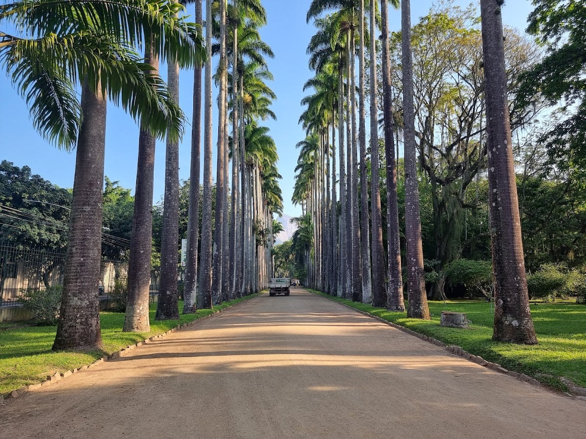 Botanical Garden of Rio de Janeiro