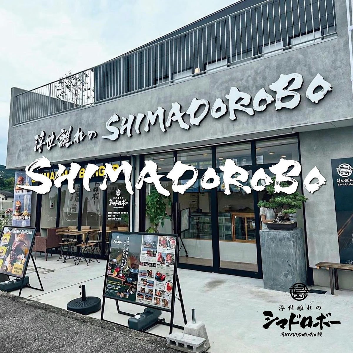 浮世離れのシマドロボー - 🍚