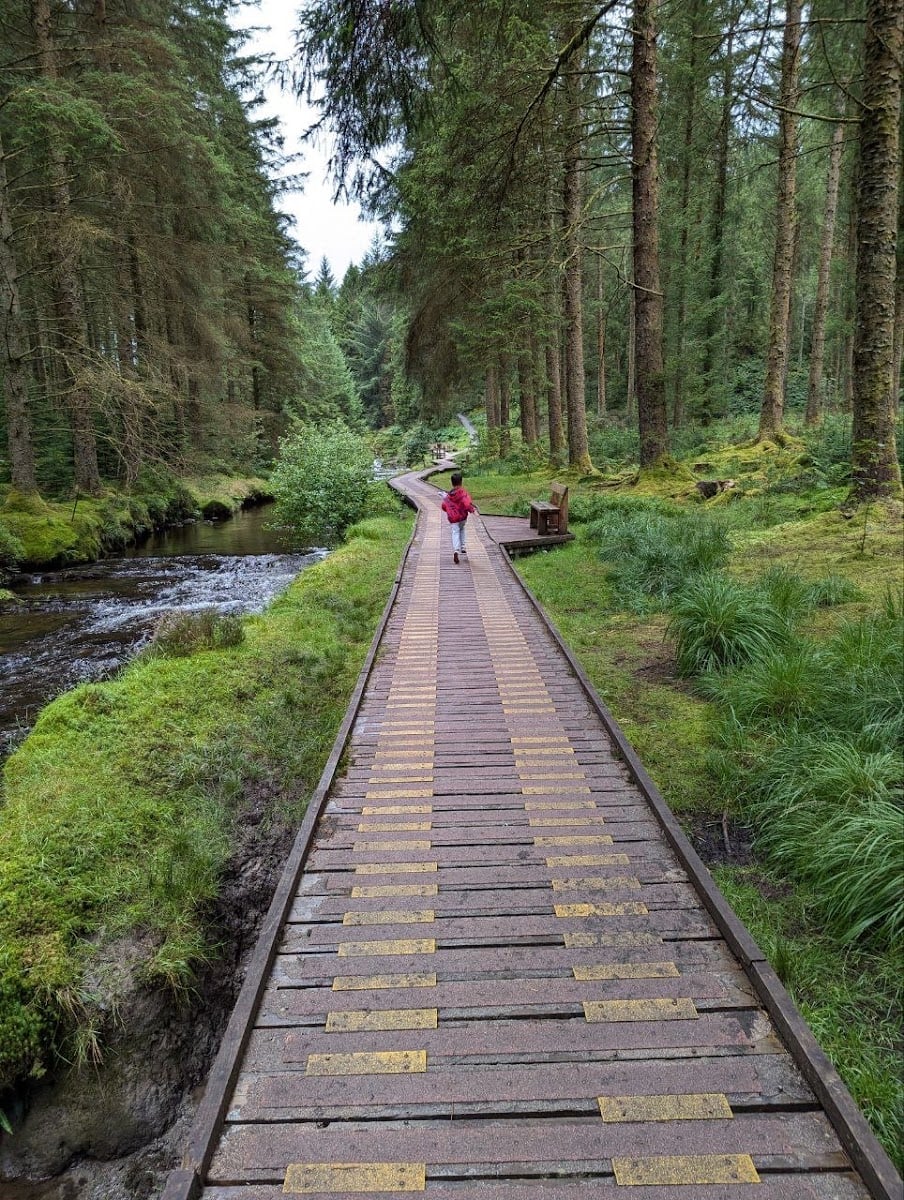 Hafren Forest - Wales