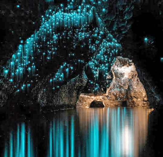 Waitomo Caves - Nouvelle Zélande