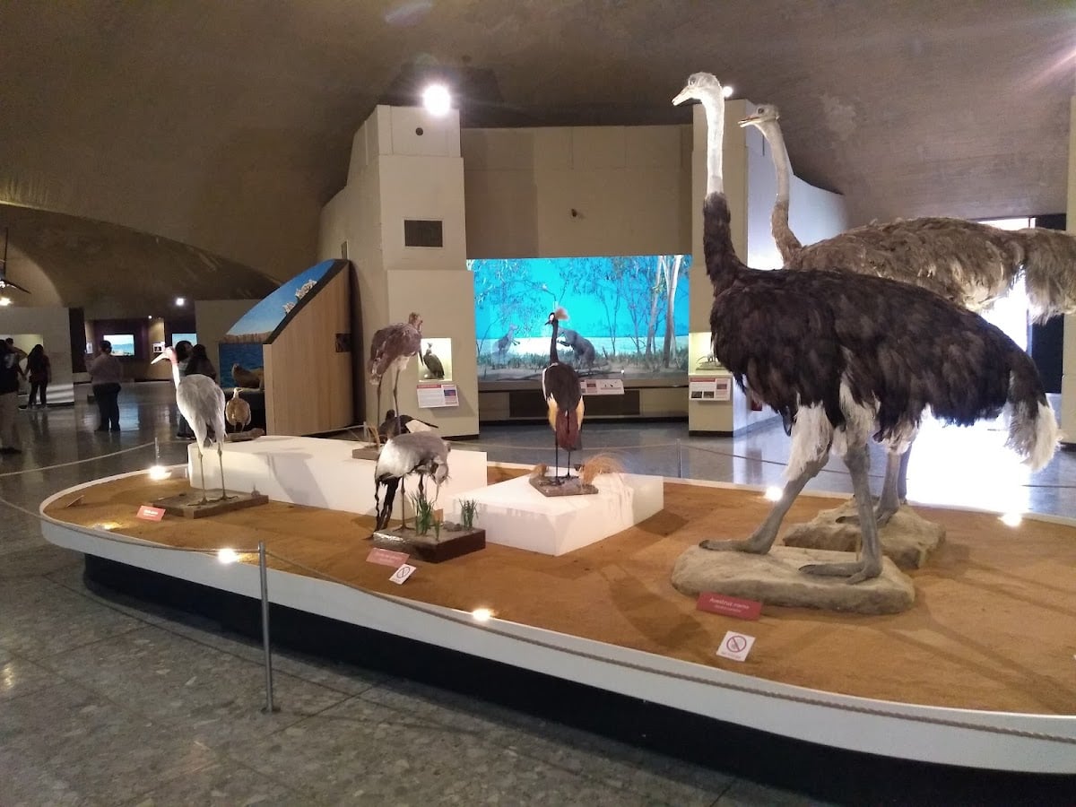 Museo de Historia Natural