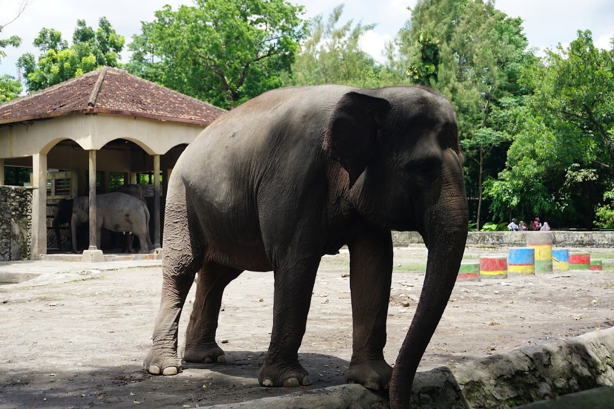 Gembira Loka Zoo