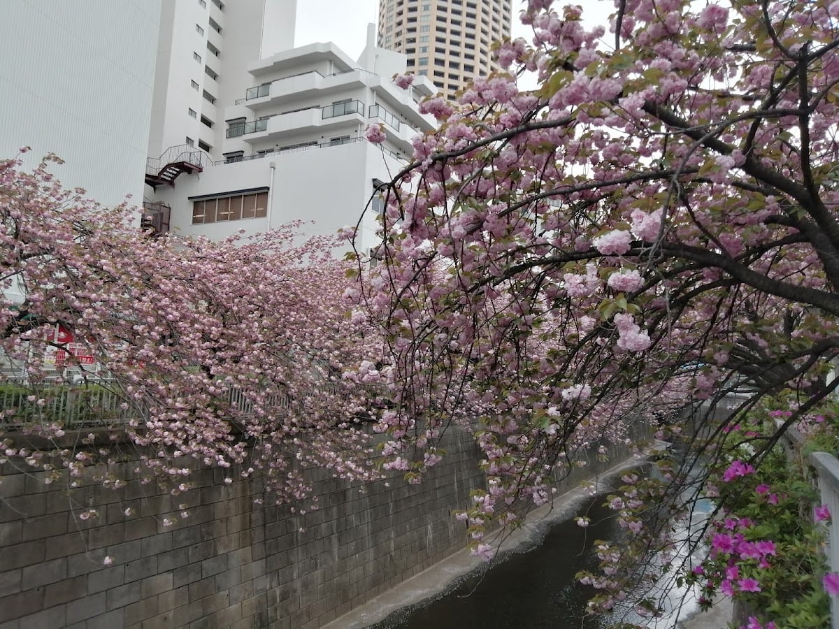 Nakameguro