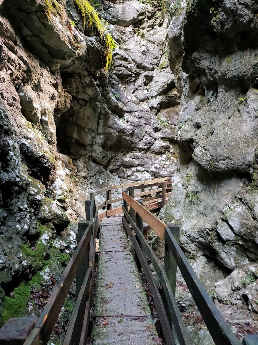 Parco delle Fucine