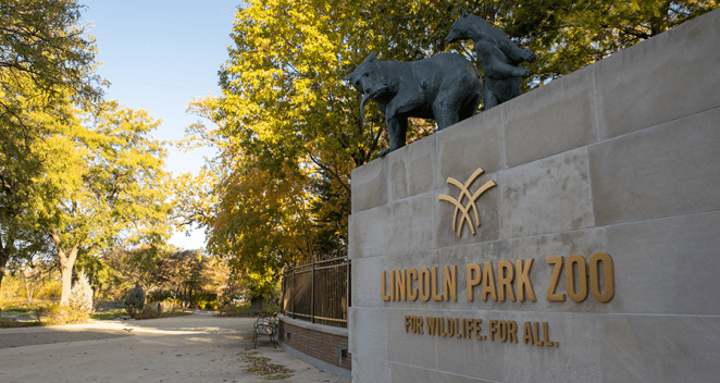 Lincoln Park Zoo - 0800