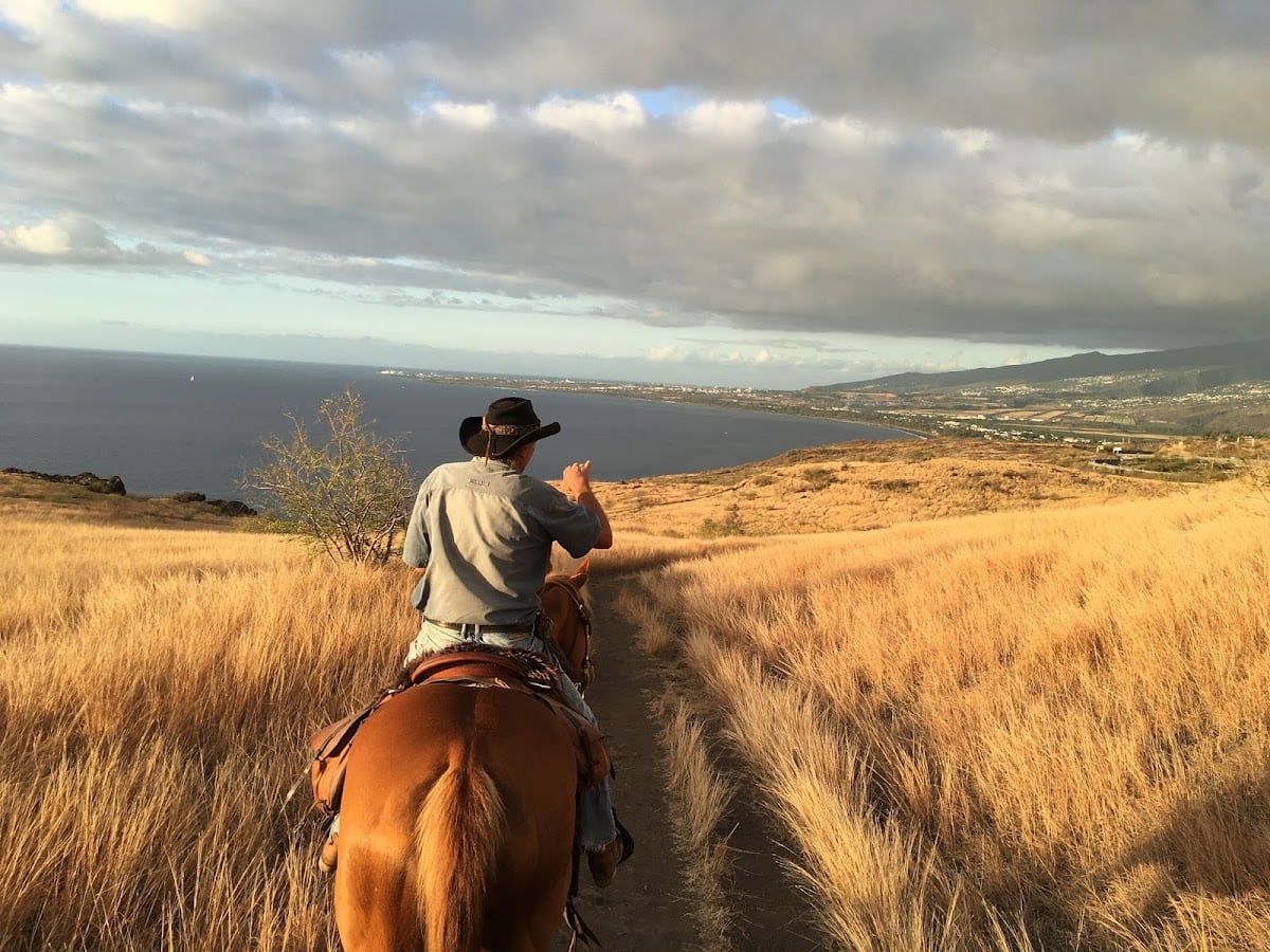 Shai Ena Cheval Réunion