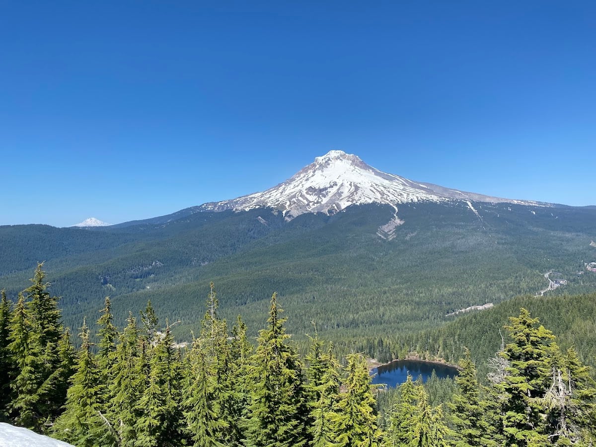 Mt Hood