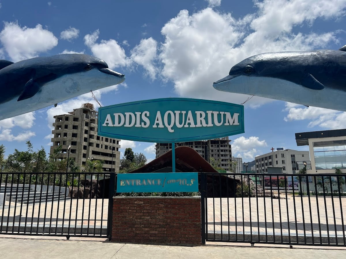 Adiss Aquarium