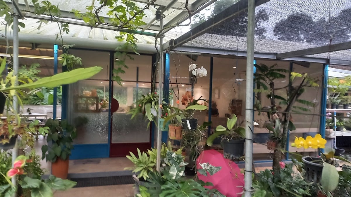 Uja Coffee & Plant