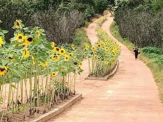 Myanmar 🇲🇲.
