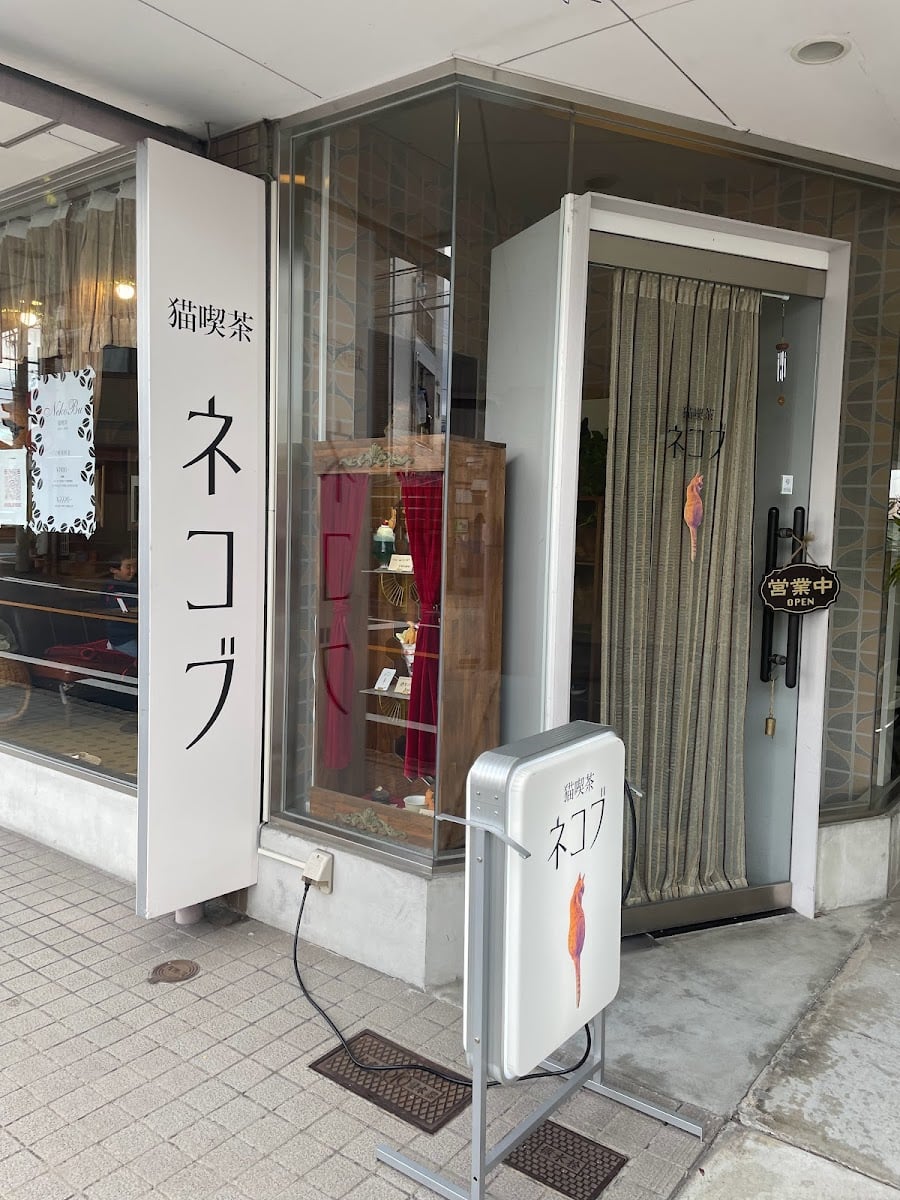 猫喫茶 ネコブ
