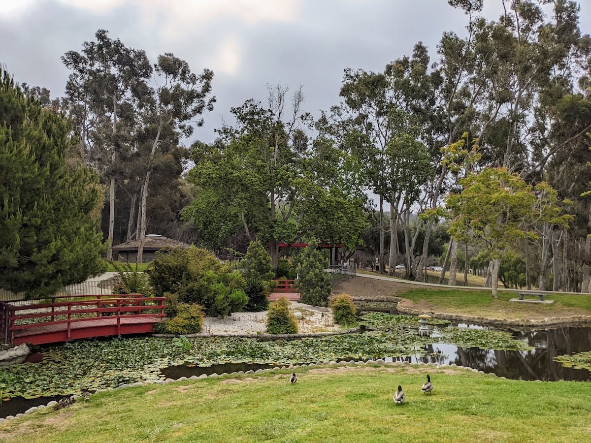 Doris Japanese Garden