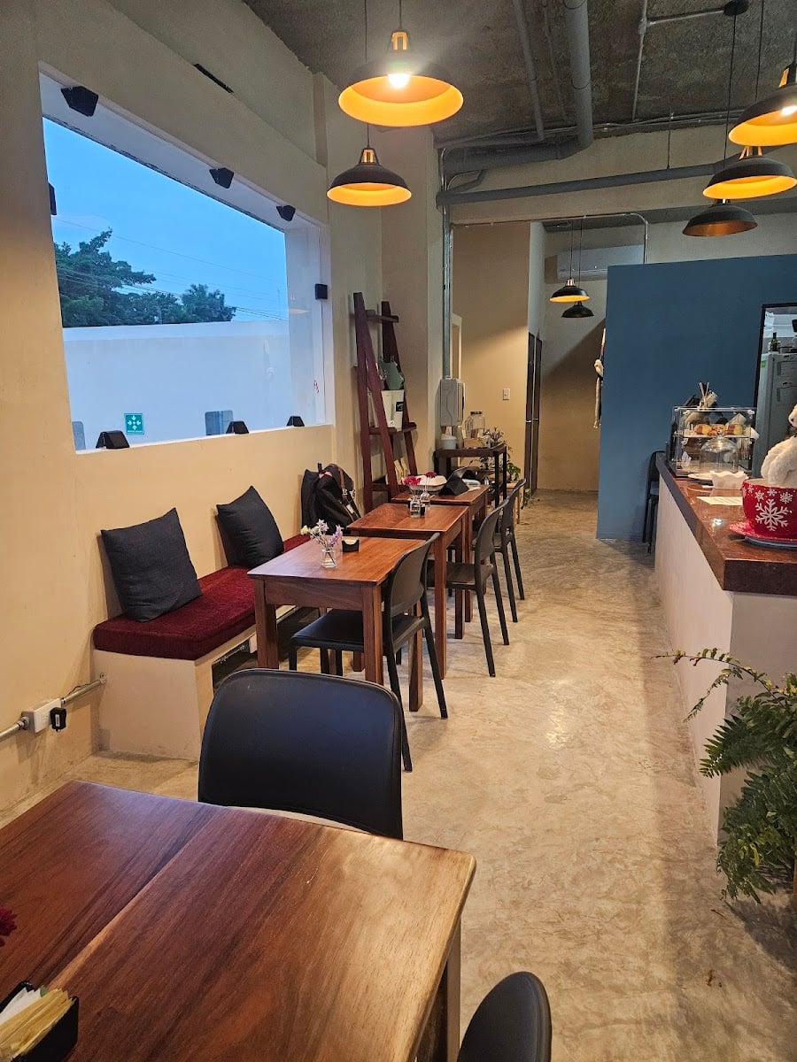 Arista Barista Norte