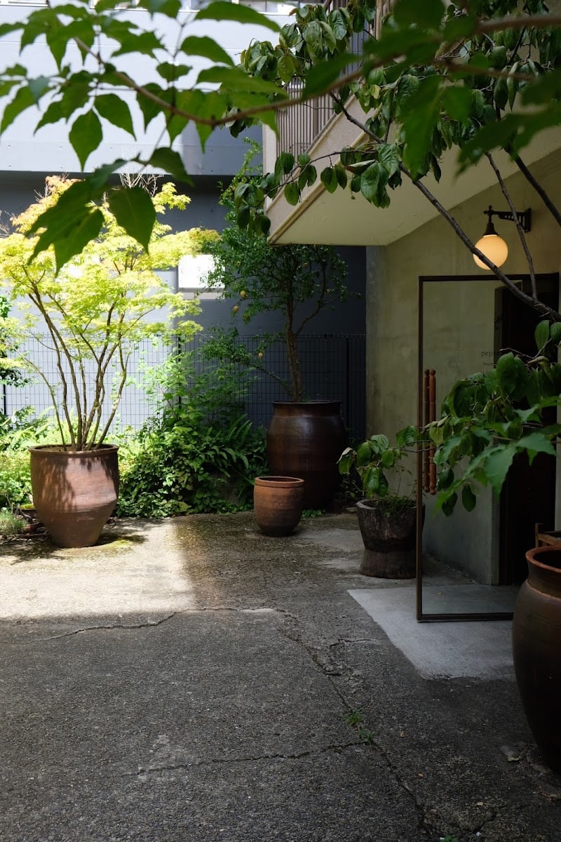 pejiteアオヤマ