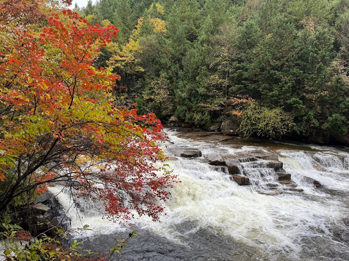 Akasawa Natural Recreational Forest