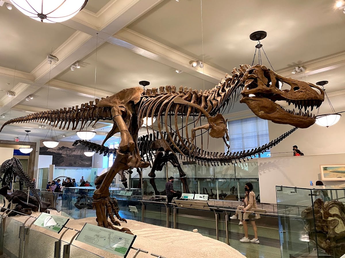 Museo Americano de Historia Natural