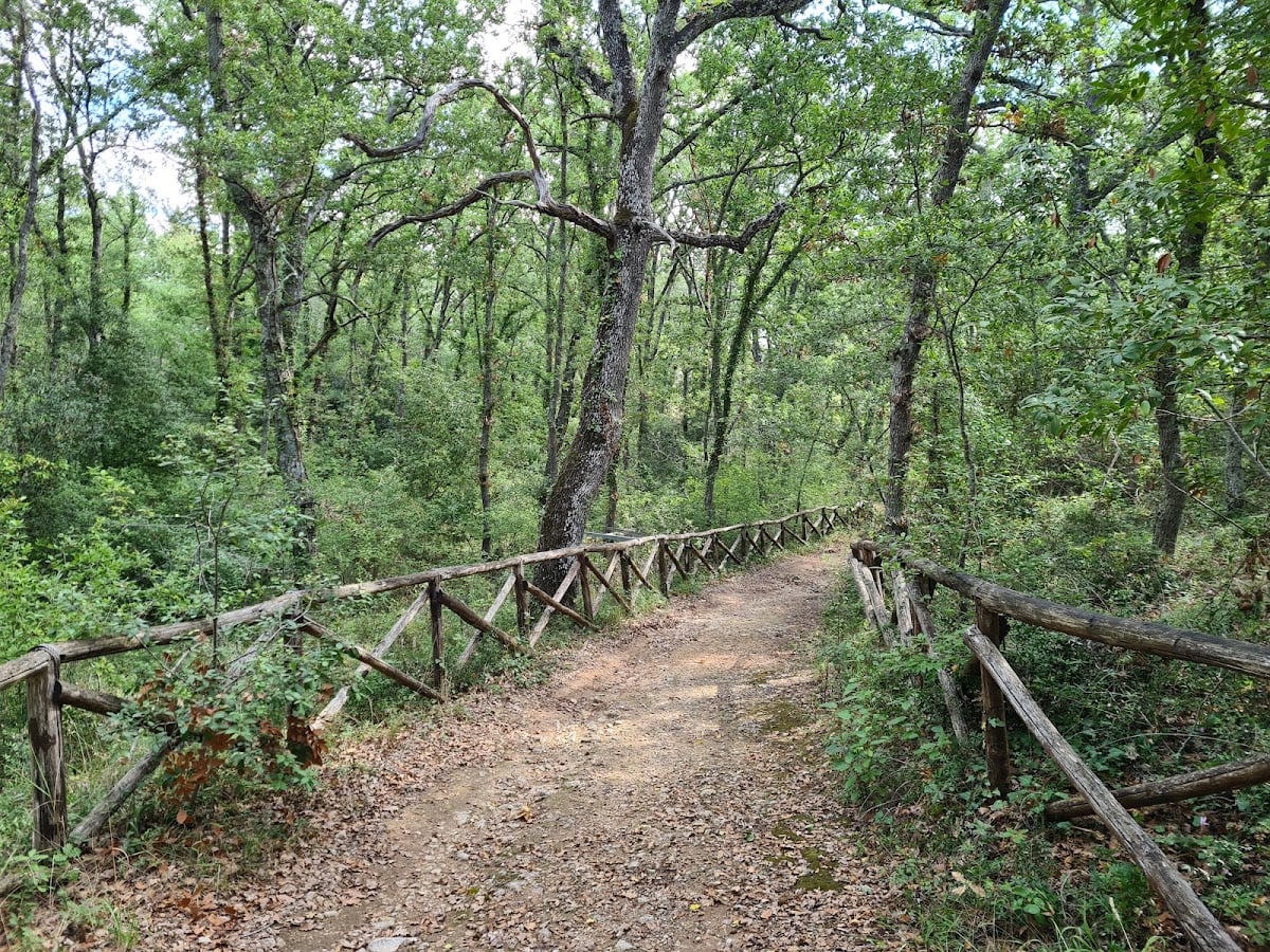 Parco Comunale Bosco Selva