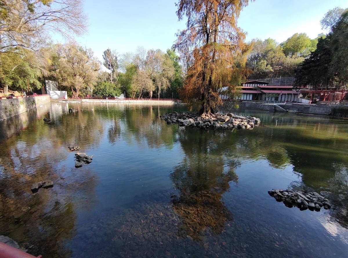 Parque Nacional "Fuentes Brotantes De Tlalpan" - Camino Fuentes Brotantes 91, Tlalpan