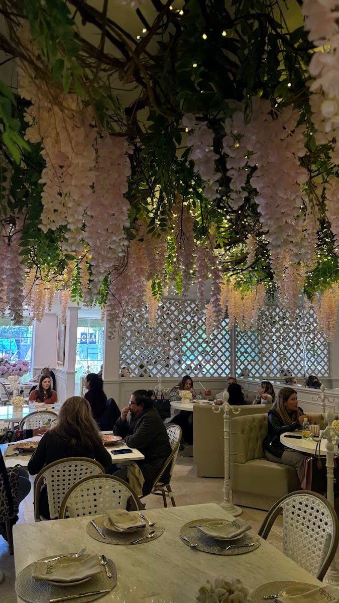 Stella Cocina