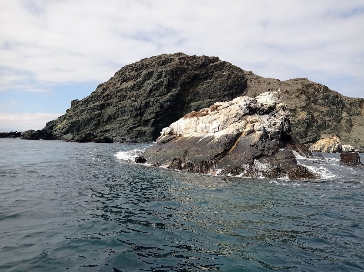 Reserva Nacional Pingüino de Humboldt