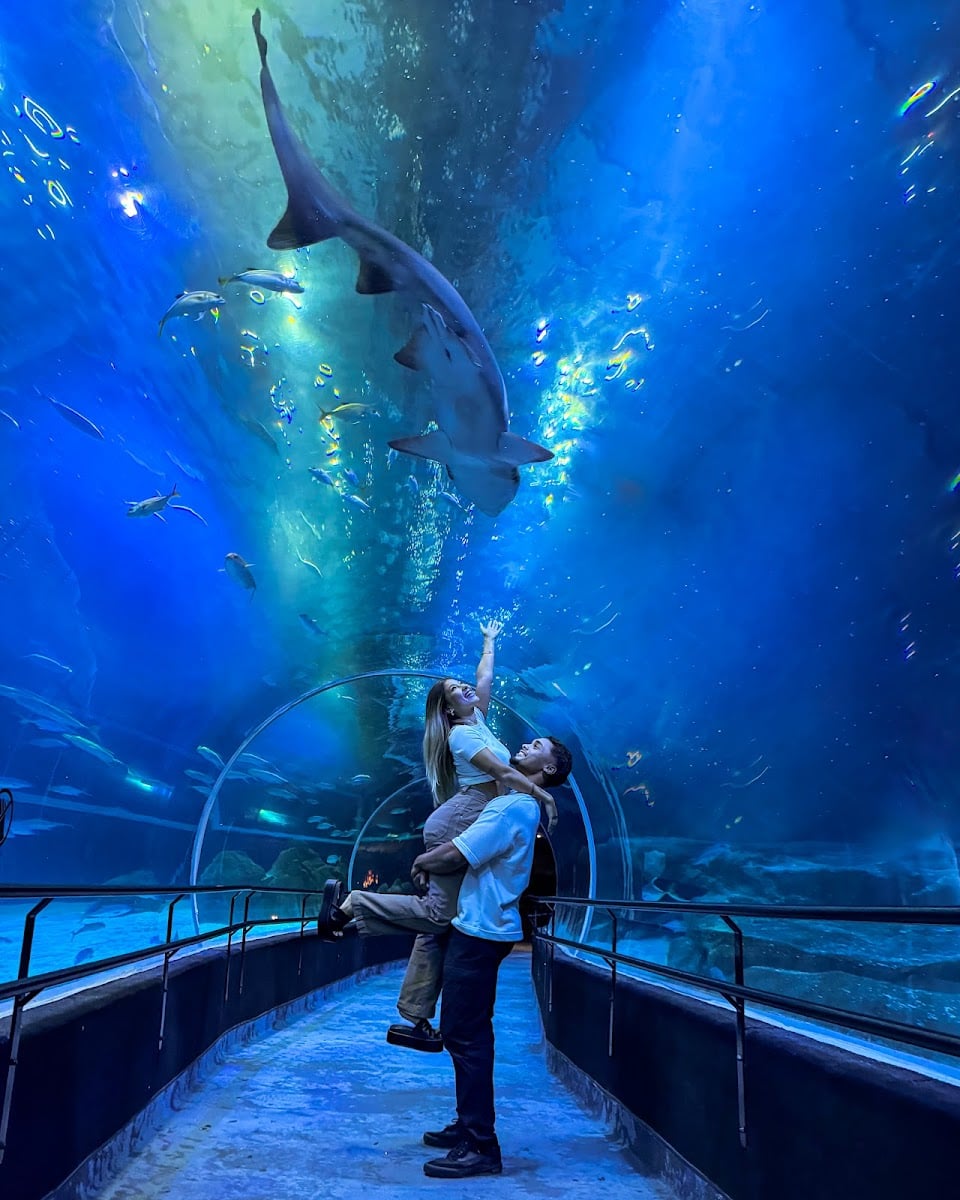 AquaRio