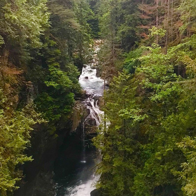 Lynn Canyon Park