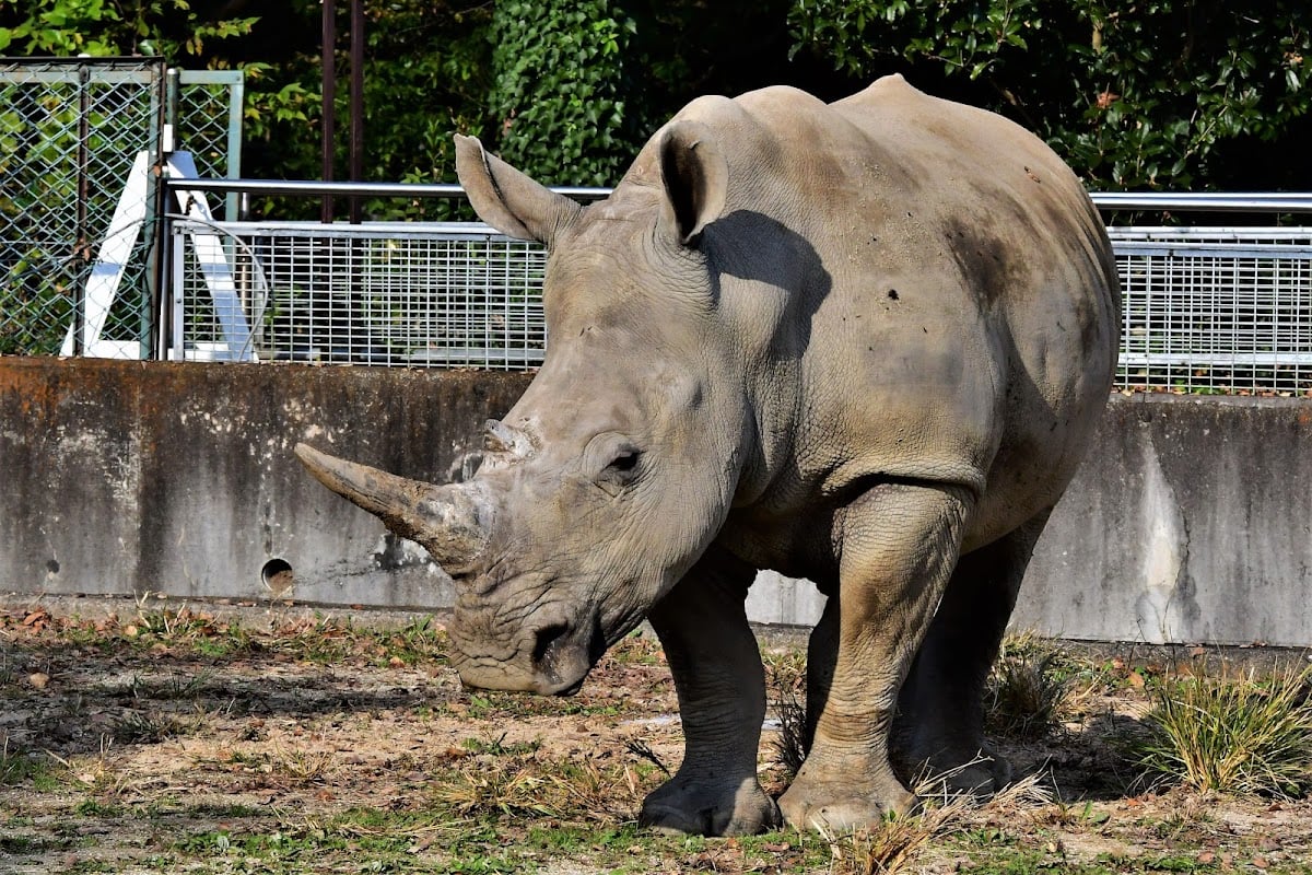 東武動物公園