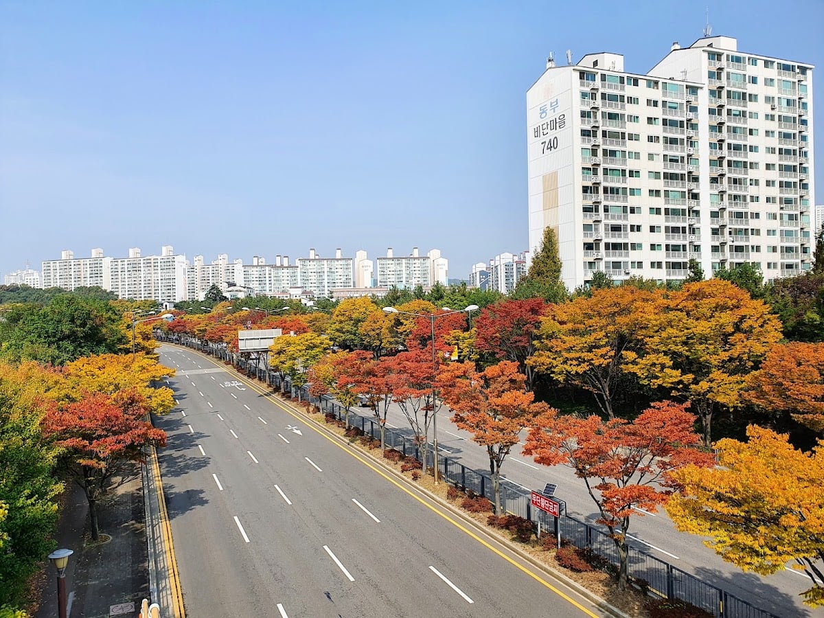 Suwon - ✮⋆˙★