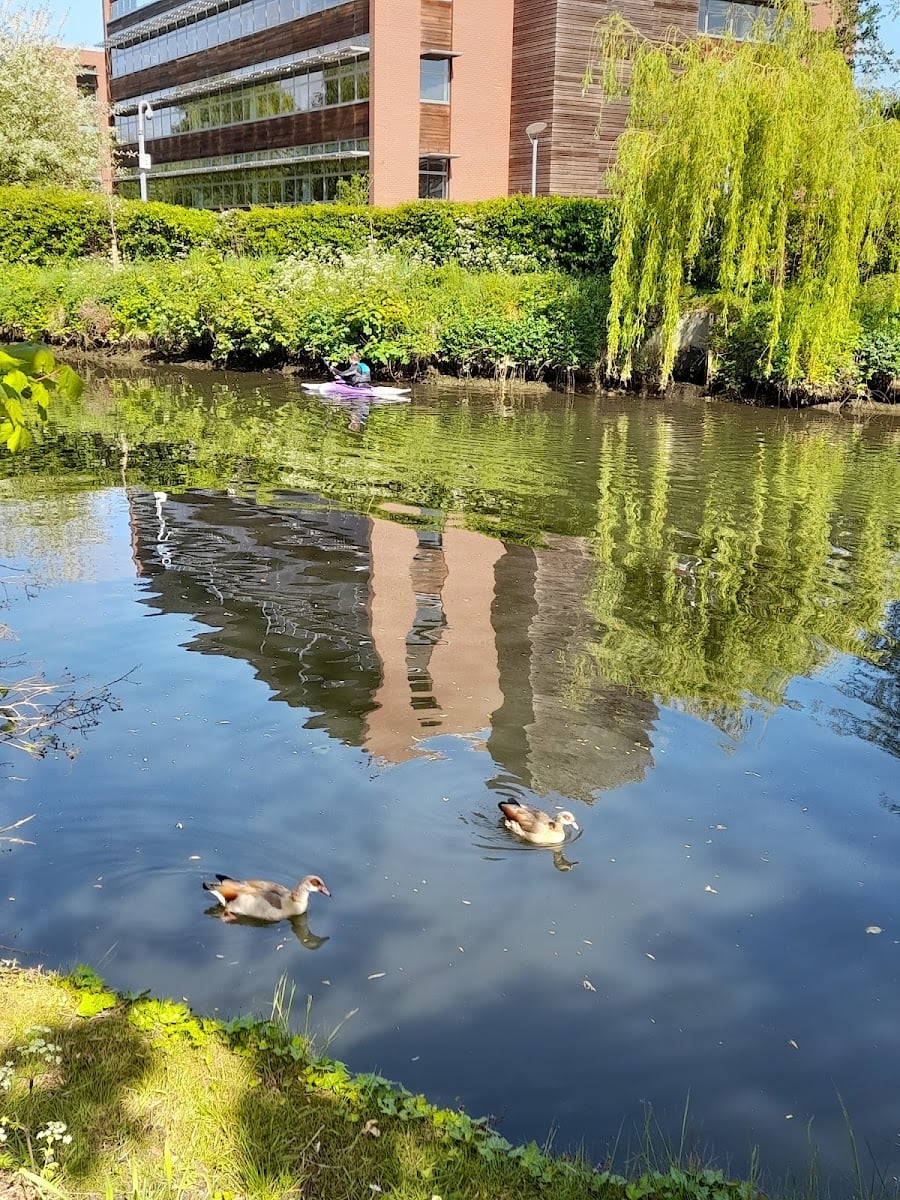 Norwich