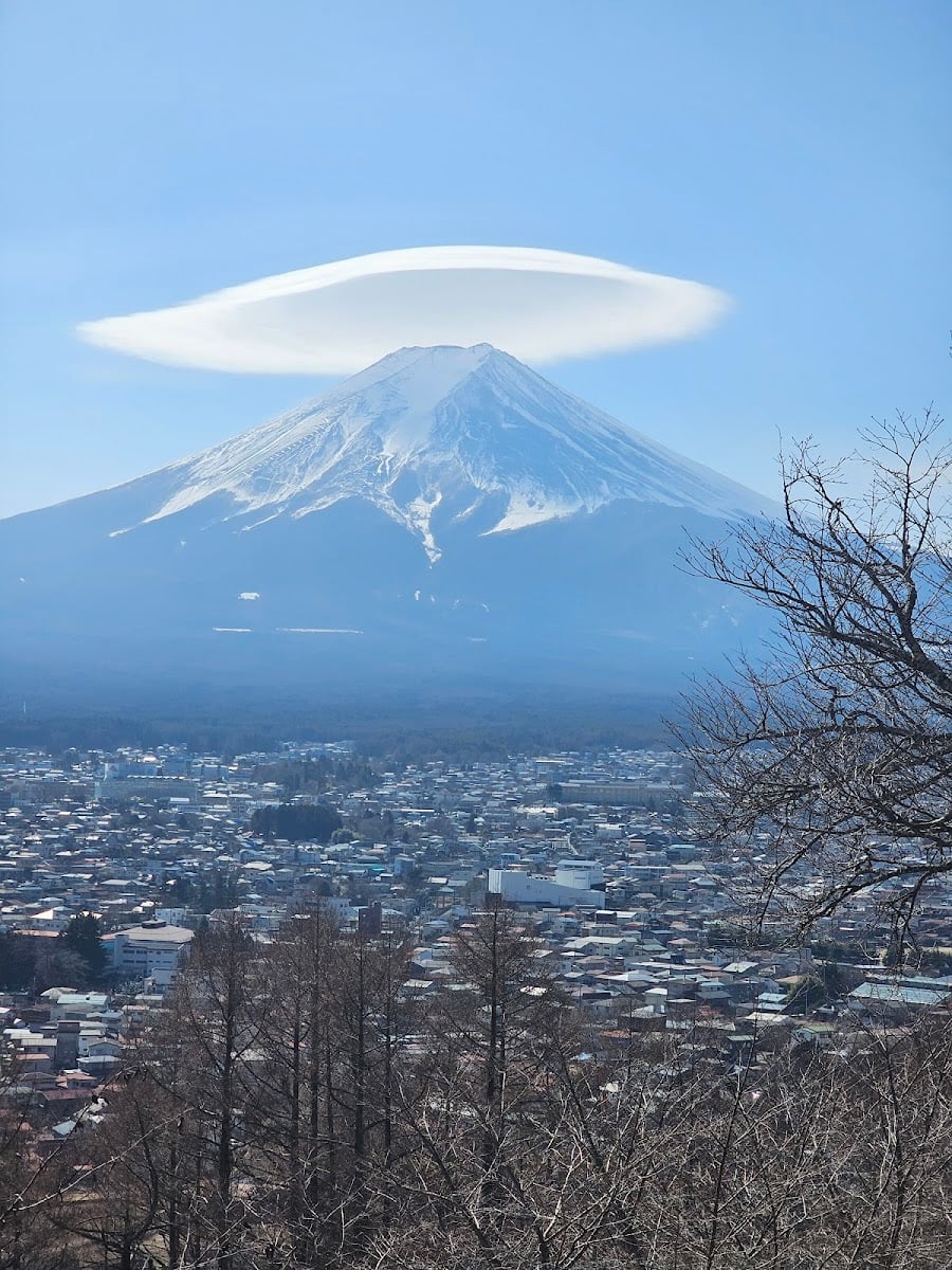 Mt. Fuji