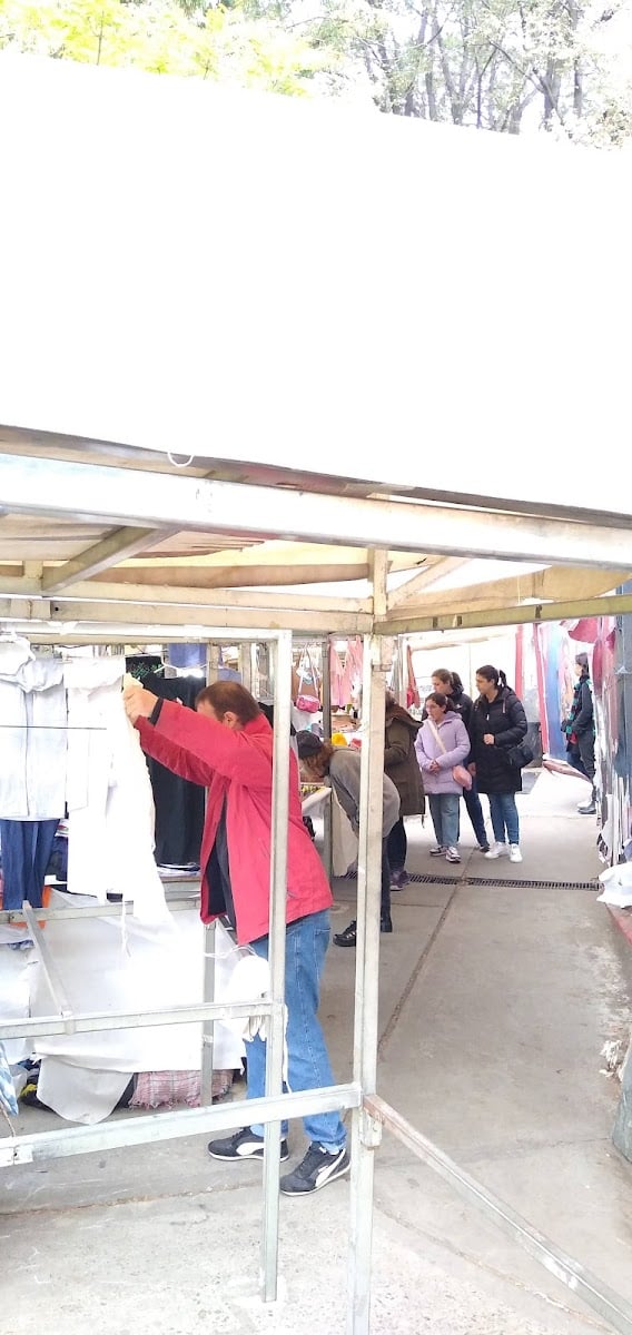 feria artesanal en plaza francia 🛍️