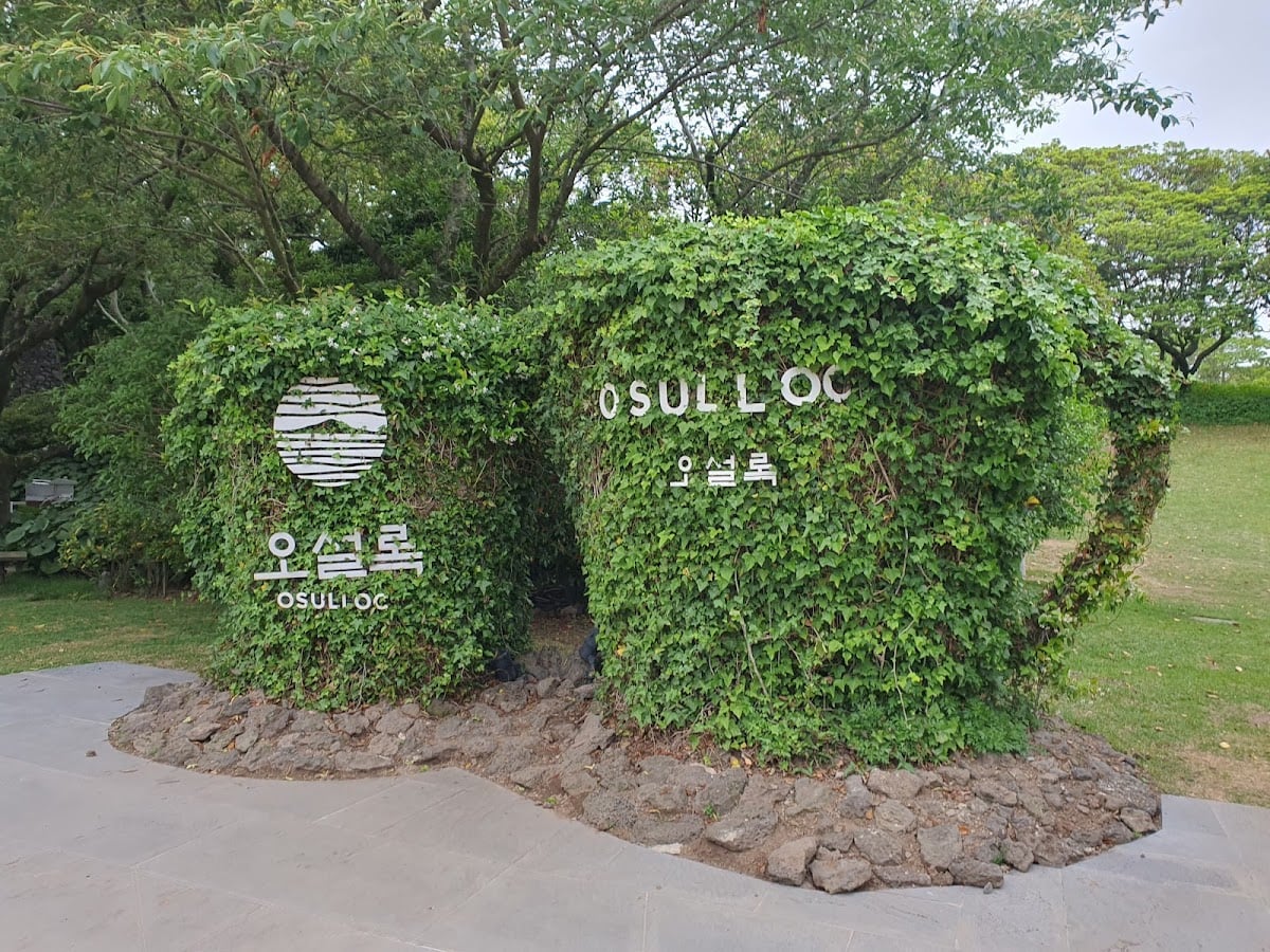 Osulloc tea museum