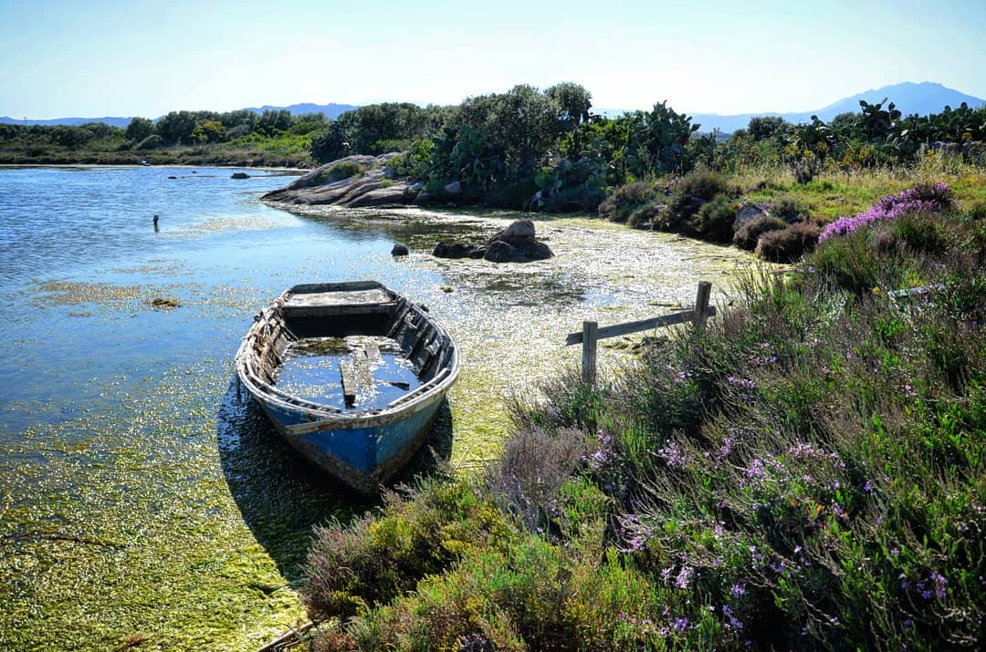 Isola Manna