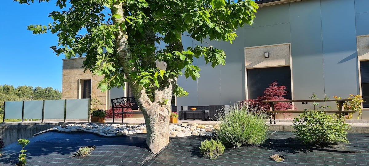 Casa Chelo Accommodation (B&B + Bar)