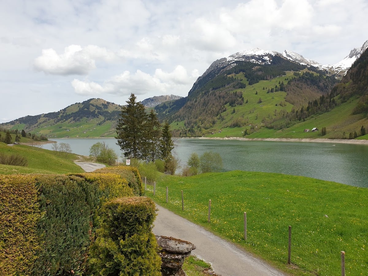 Wäggitalersee