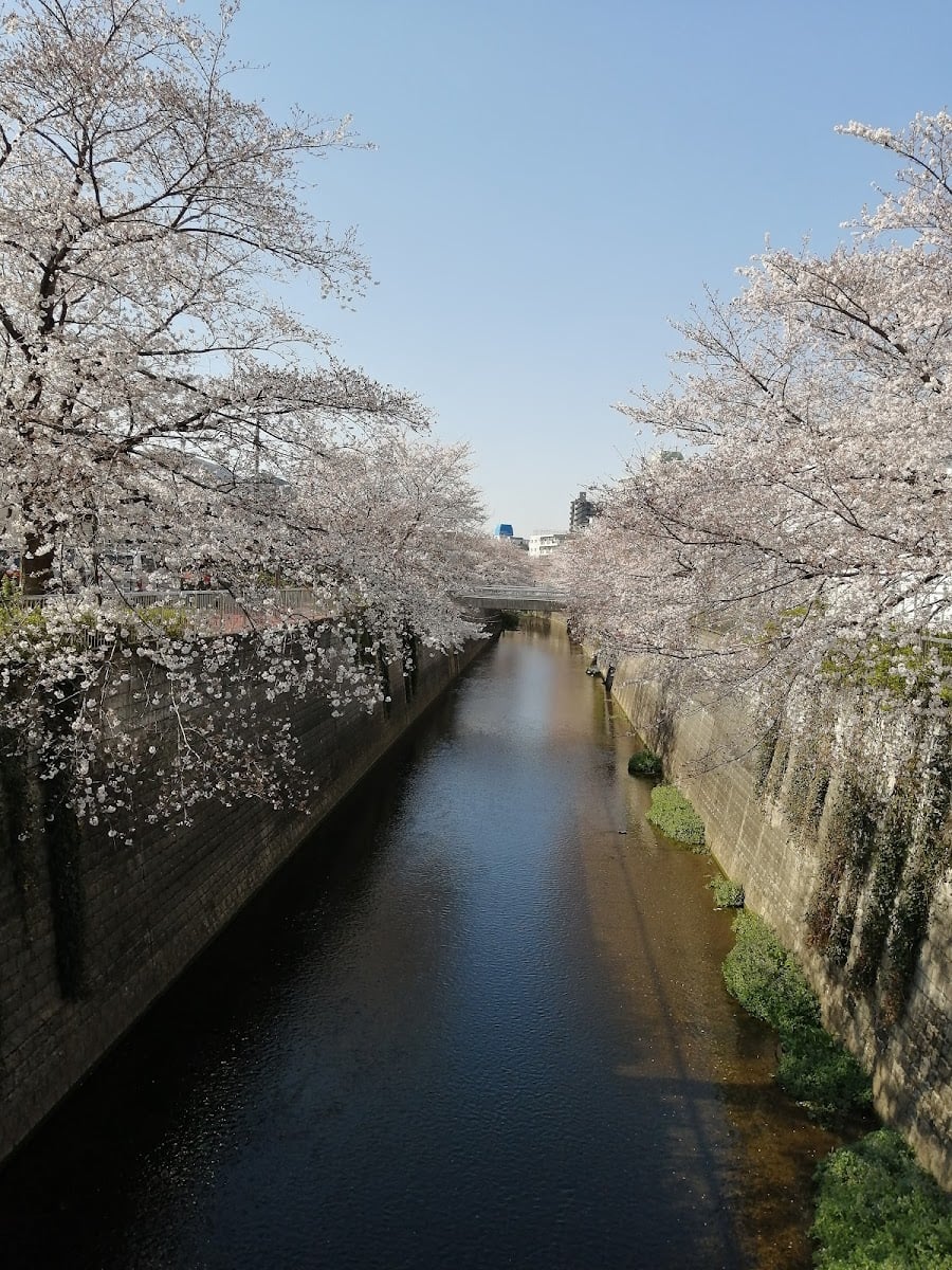 Nerima