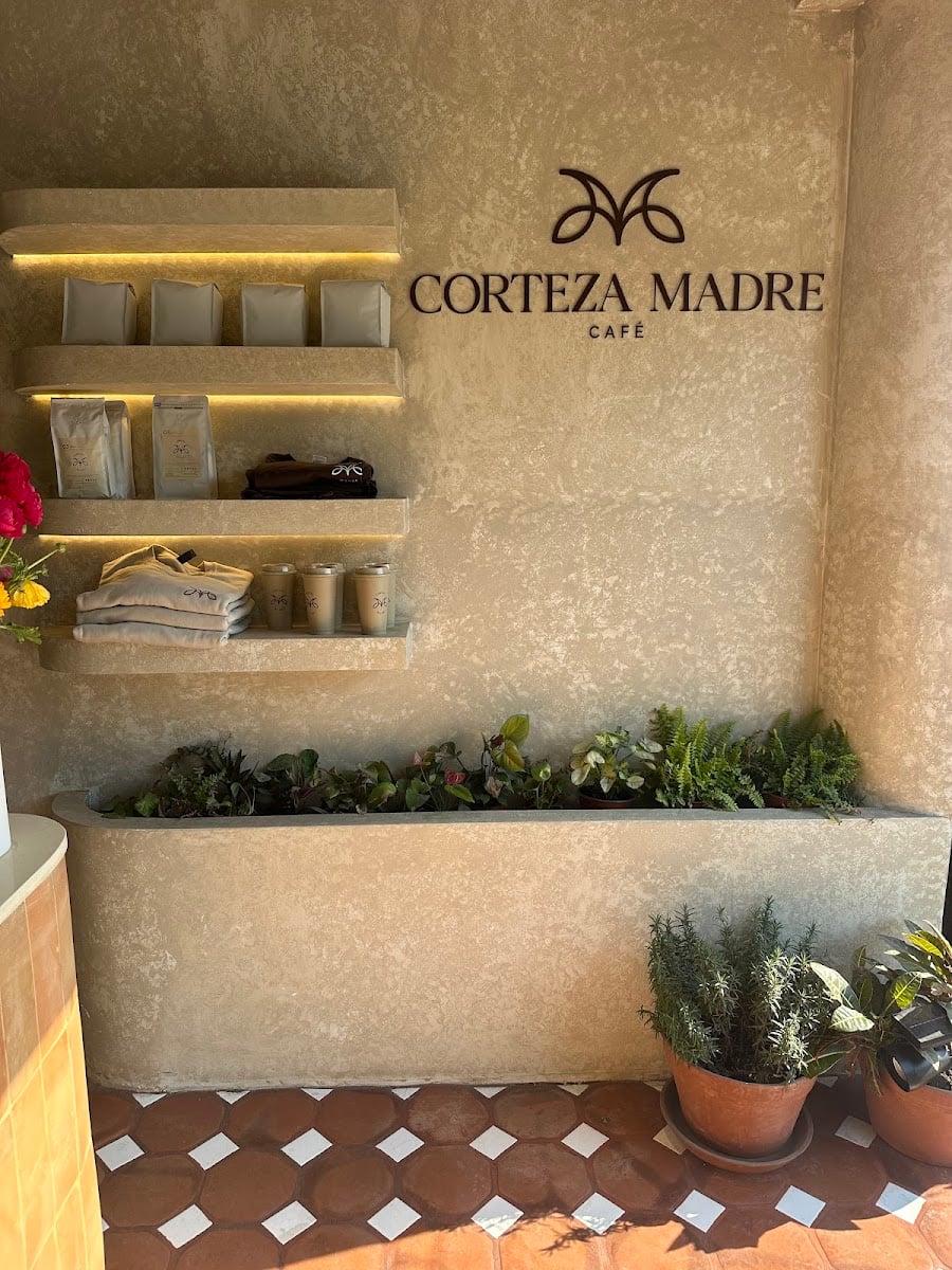 Corteza Madre