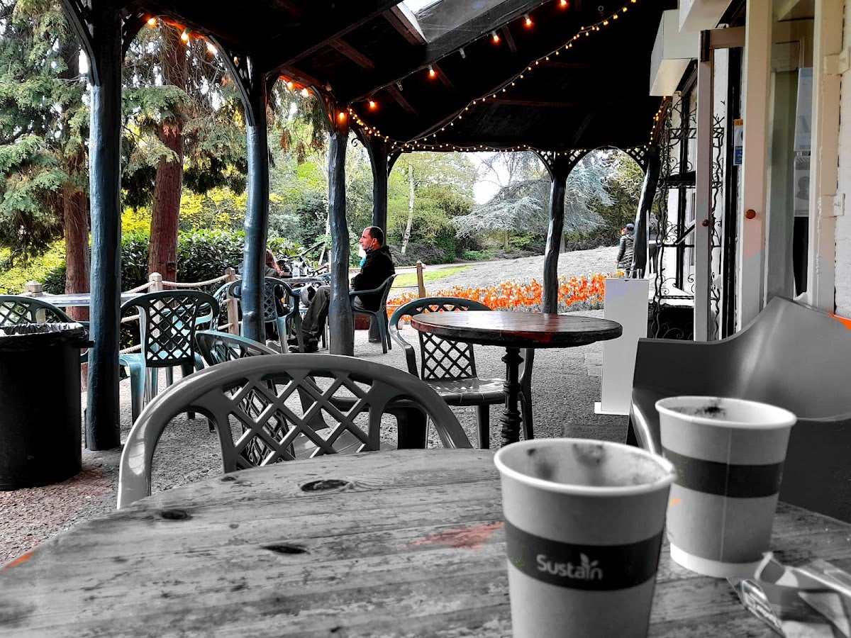 Hollyhock Vegetarian Fairtrade Cafe