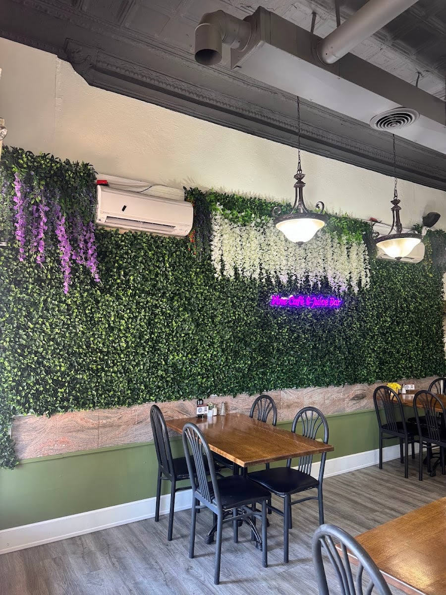 The Vine Cafe and Market - Lebanese Cuisine & Juice Bar