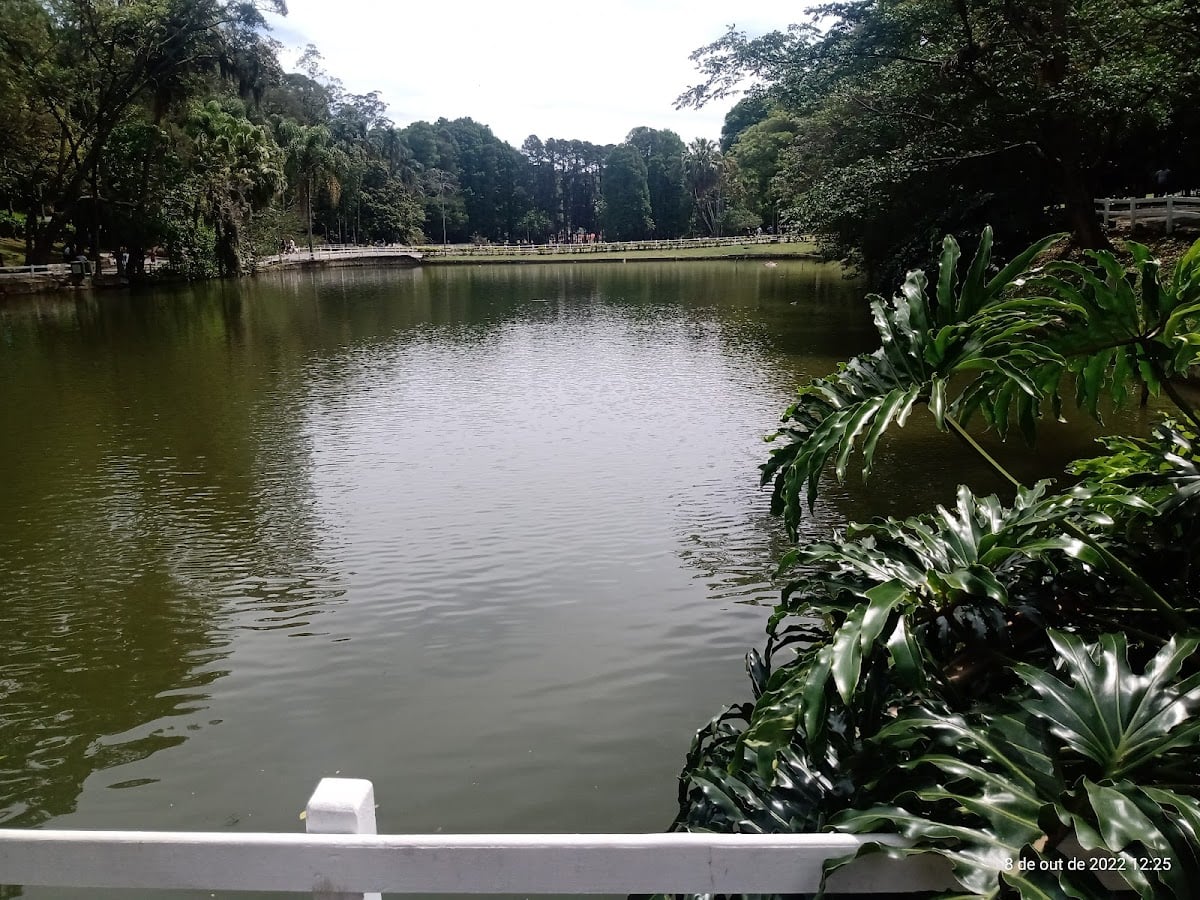 Horto Florestal - Parque Estadual Alberto Löfgren