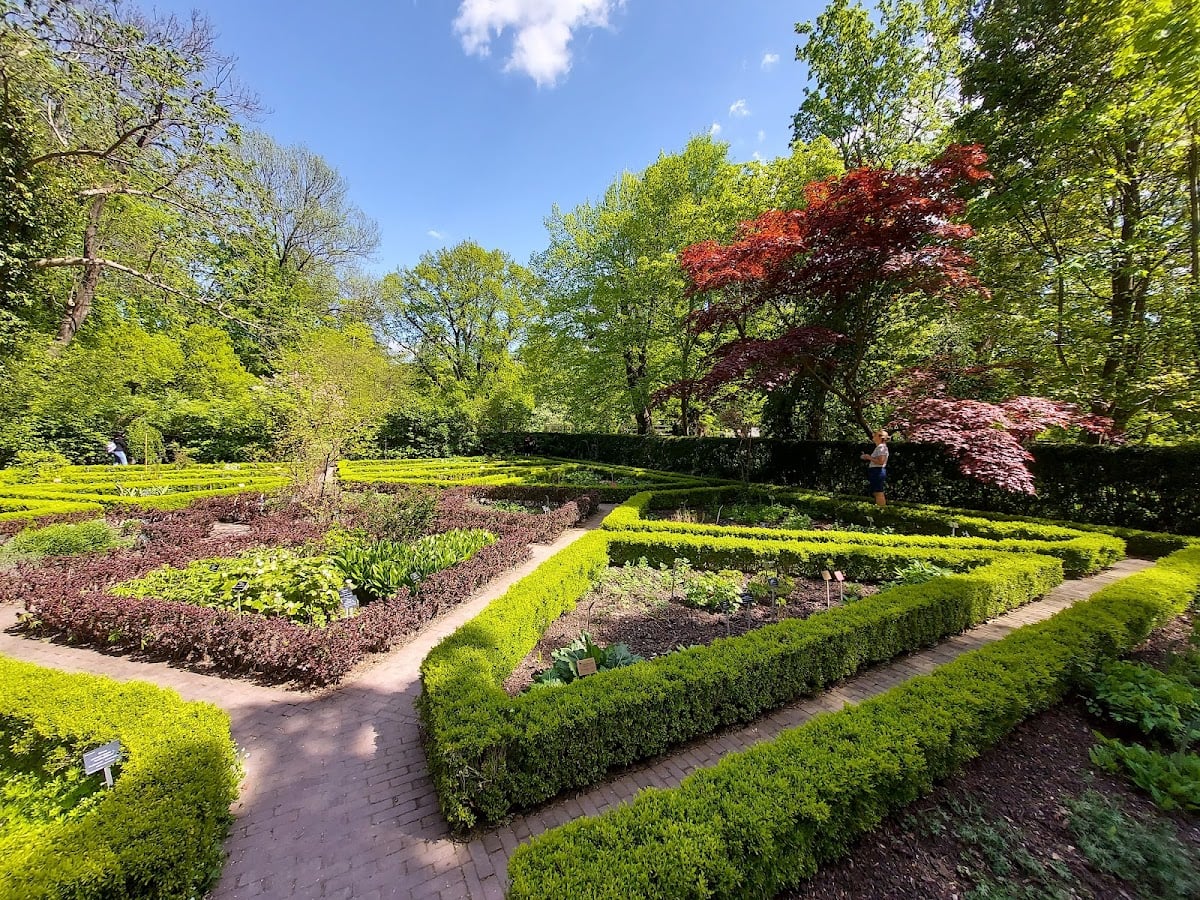 Ogród Botaniczny Uniwersytetu Warszawskiego