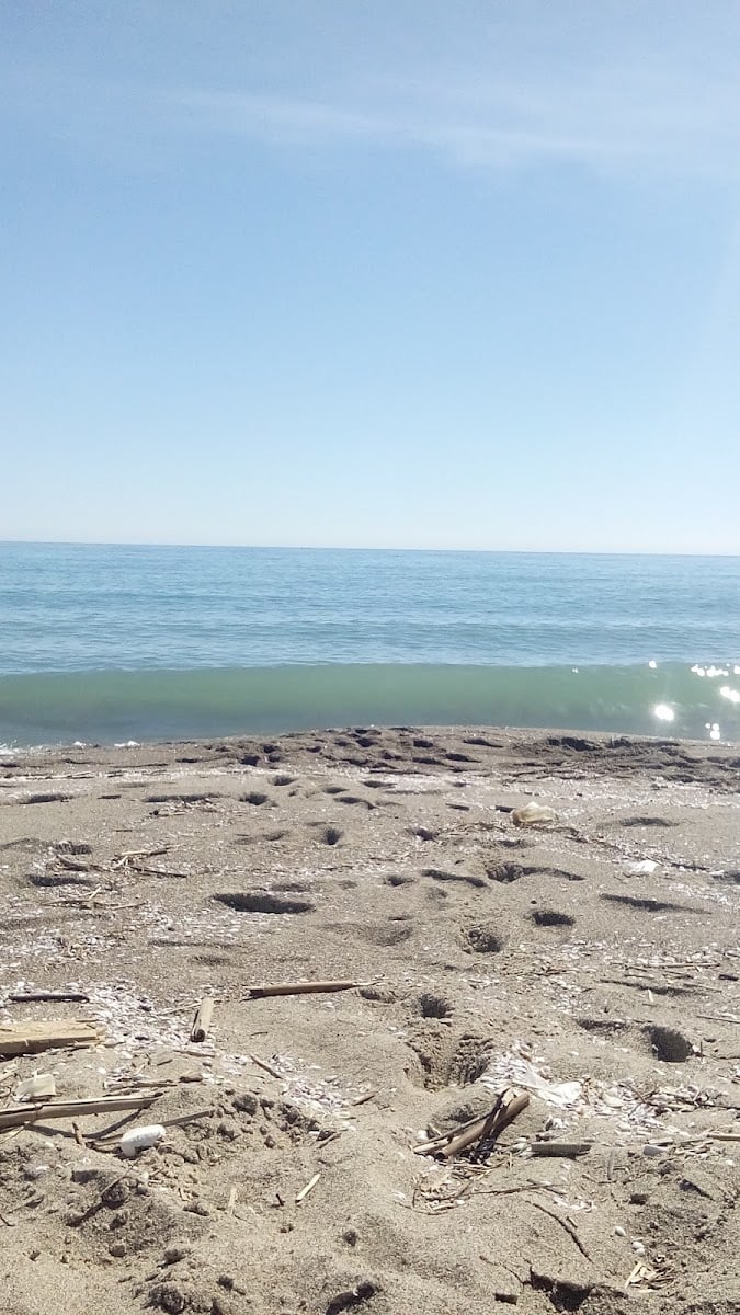 Primosole Beach